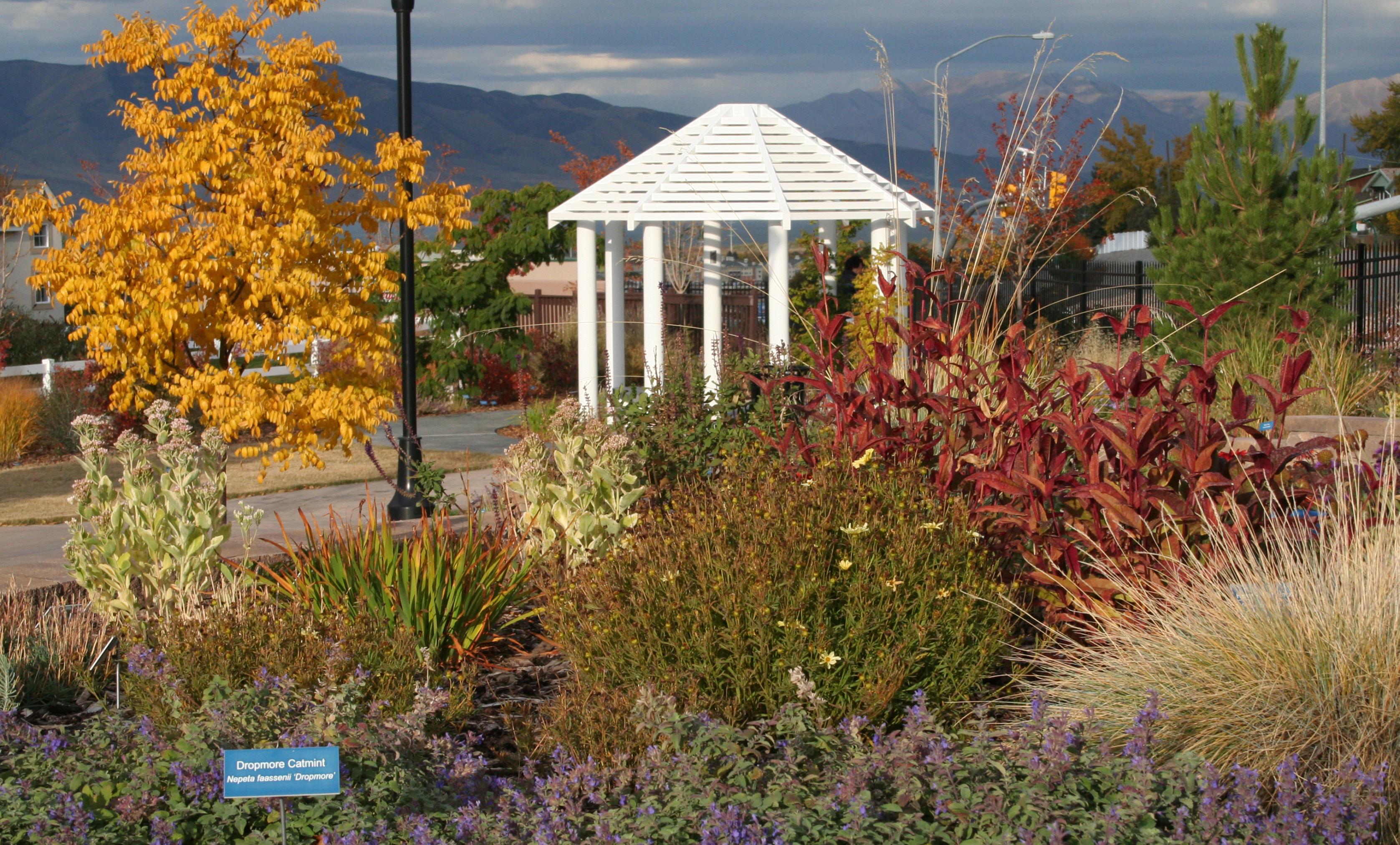 Image of a water conservation garden with many blooming water-wise plants and educational signage.